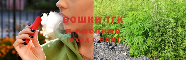 ешки Алексин